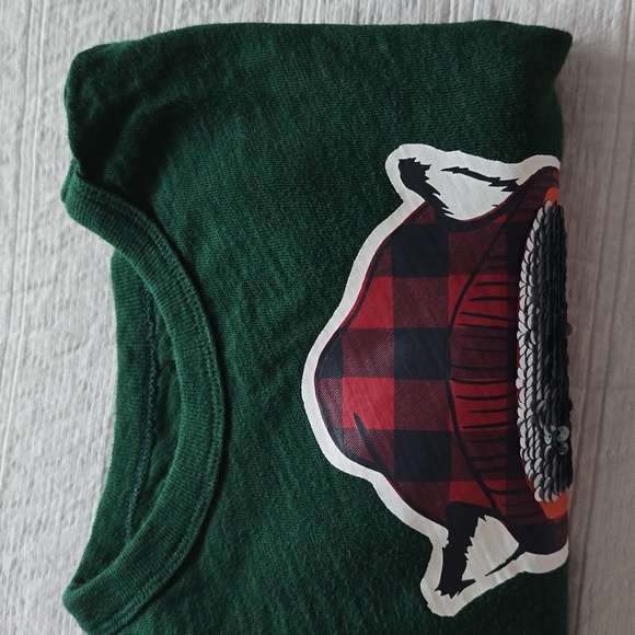 GAP Kids Green Sweatshirt with Wolf Graphic & Reversible Sequin Detail S 6-7 - Picture 7 of 8